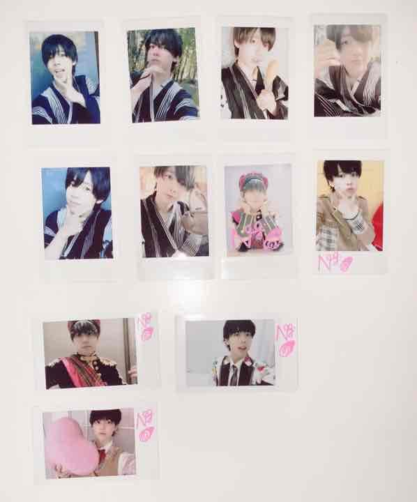 パラゴン パンダドラゴン チェキ