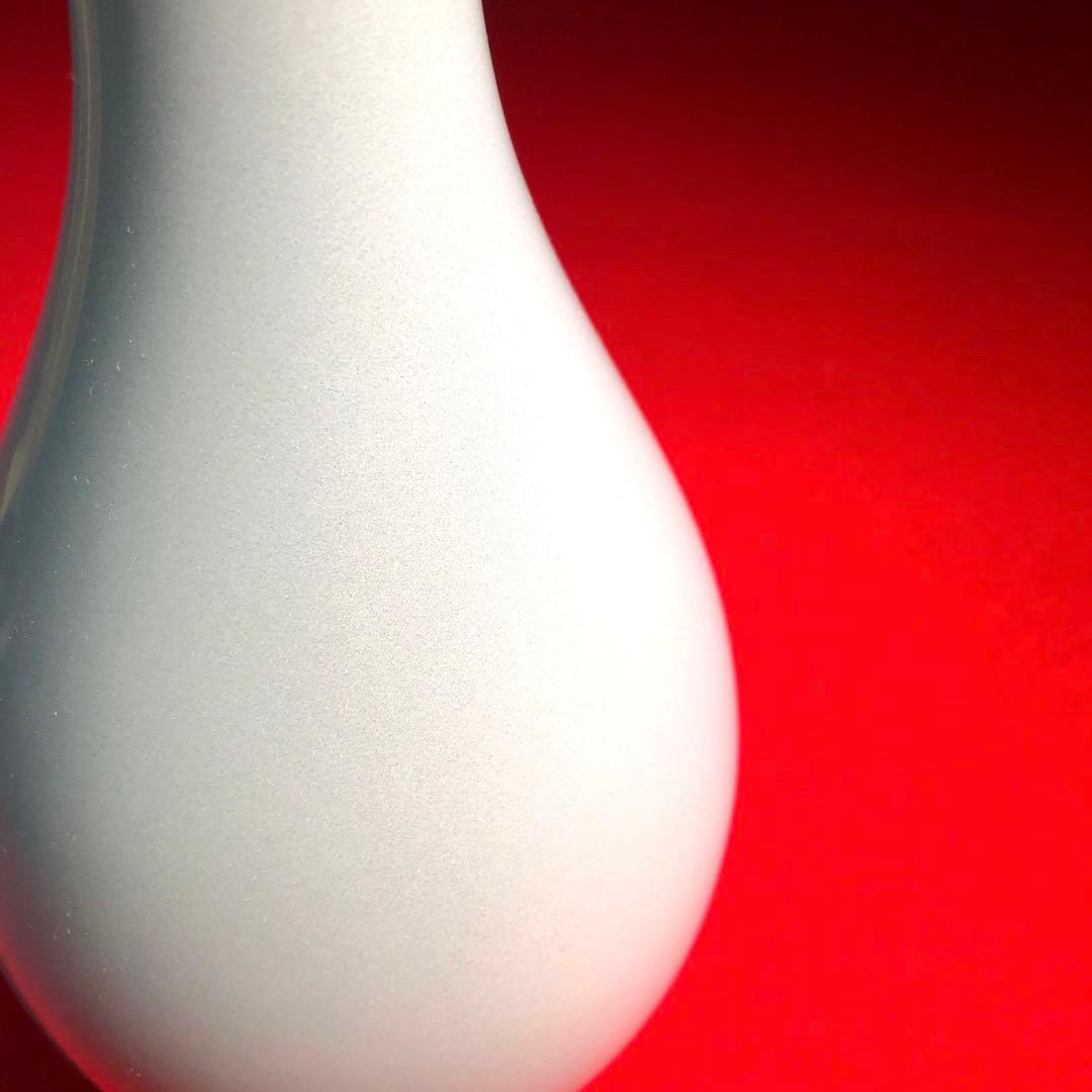 【茶道具】諏訪蘇山作　青磁鶴首花入　建仁寺竹田益州管長箱