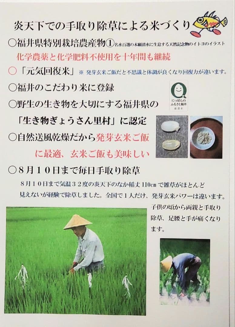 ご病気のお客様に最適な米　玄米10kg　７年産コシヒカリ　特別栽培① 無農薬栽培