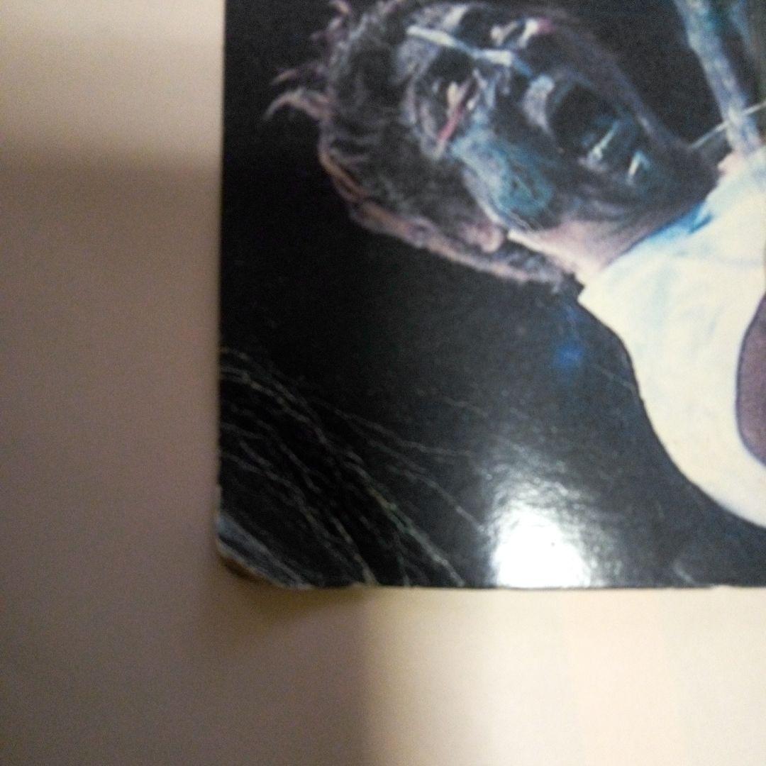 プロレスフィギュア大仁田厚