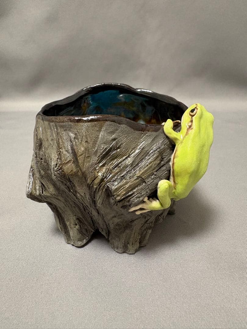 腰越祐貴　樹器とアマガエル