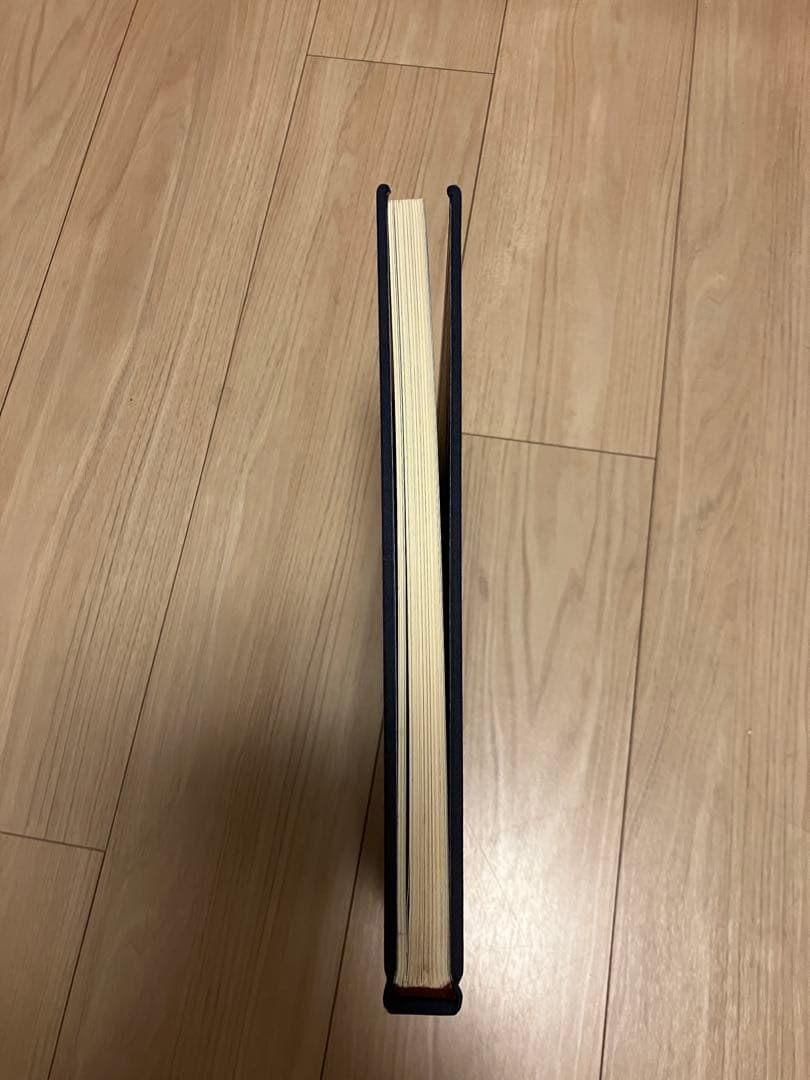 【お値引きしました】ミッシェルドラクロア★画集★作品集