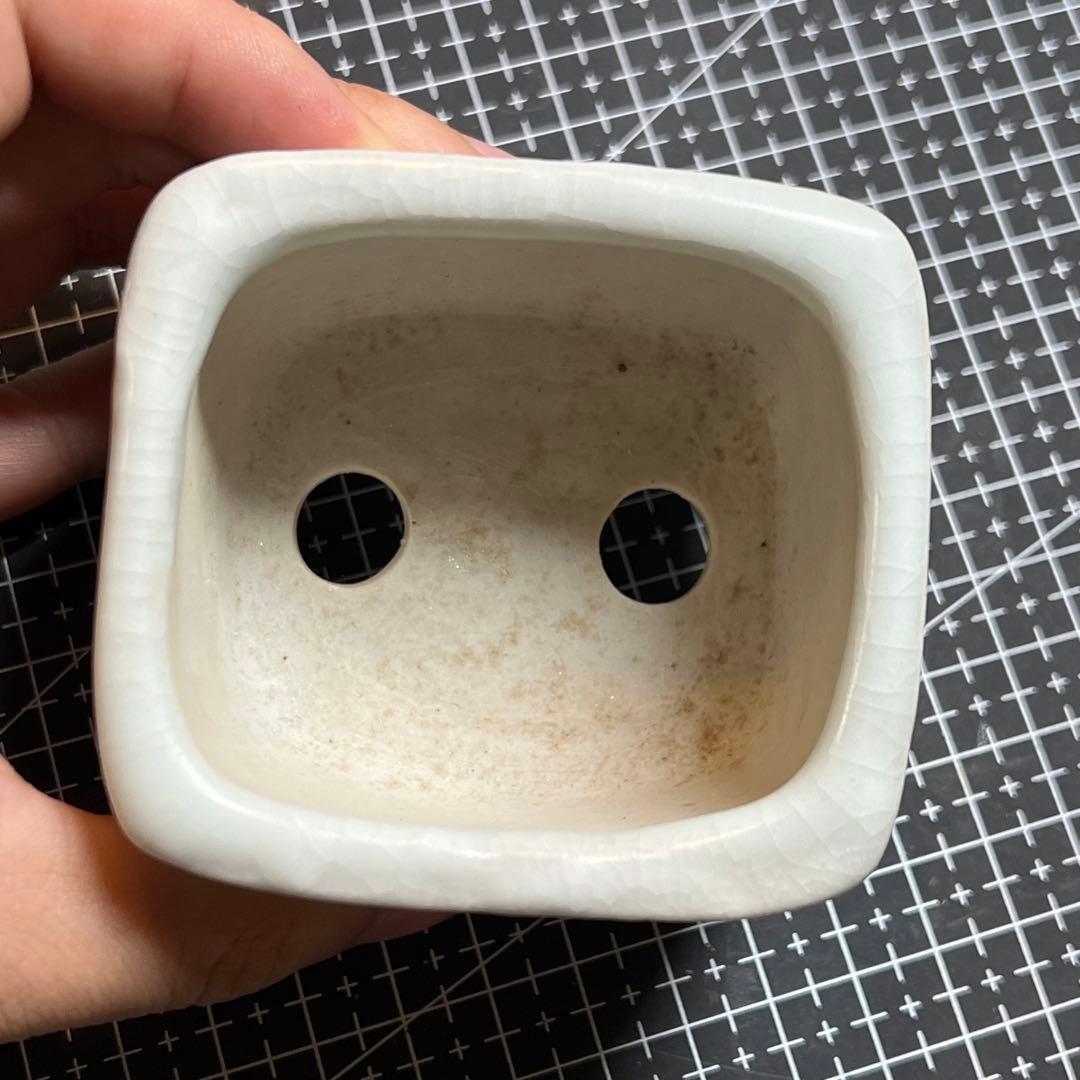 740.町直 五彩蛙切立長方 盆栽鉢 植木鉢 7.5*6.9*5.2cm