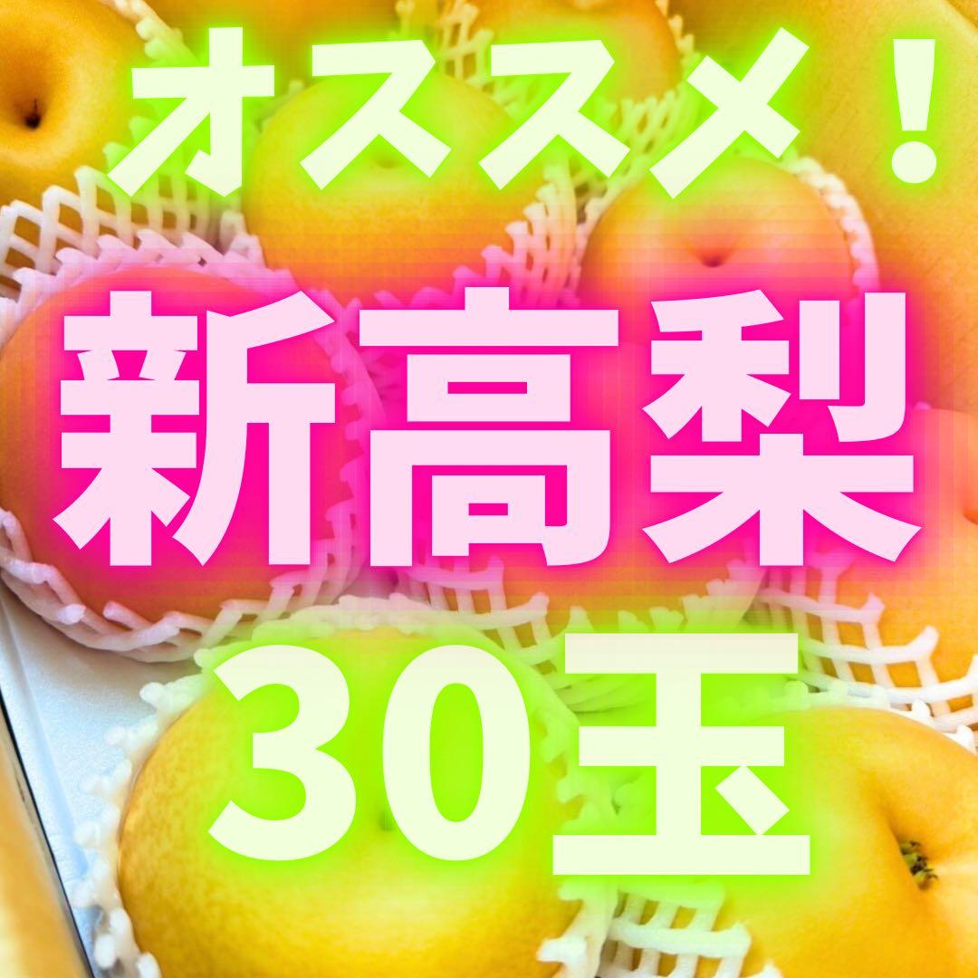 梨　新高梨　30玉　　01