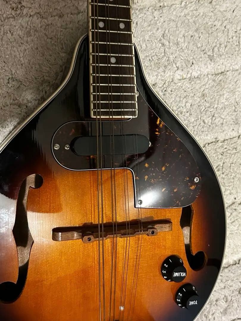 【極美品】 完品　K.Garage VM-6E マンドリン　ハードケース付き