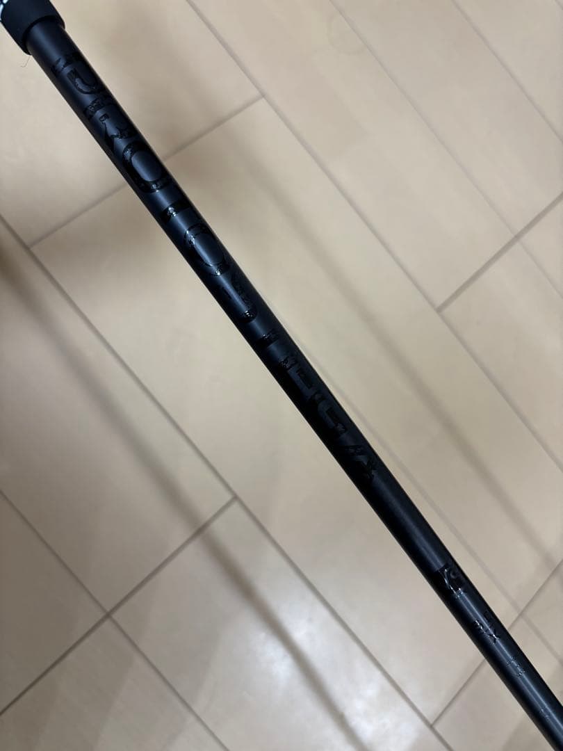 プロトステガ　キャロウェイ　60X