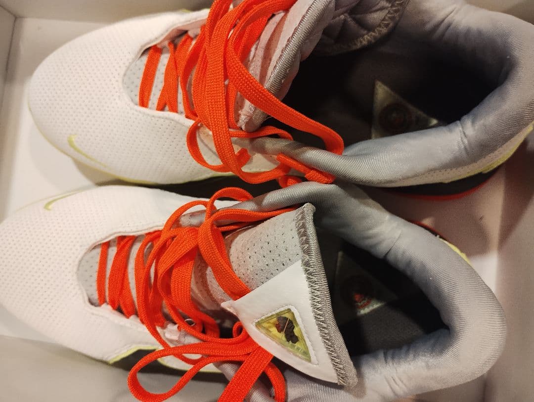 NIKE レブロン22　lebron22 kobe book