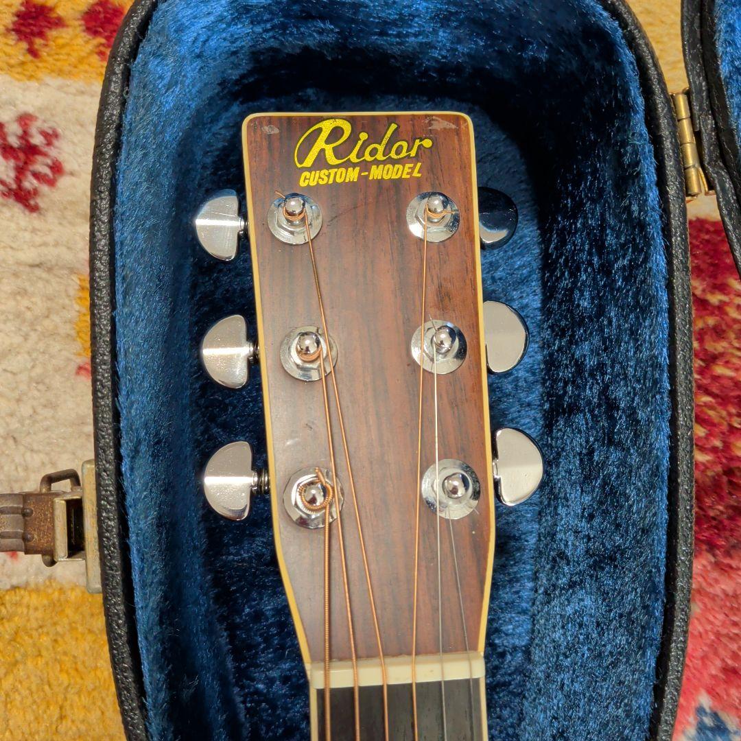 アコースティックギターRidar R350custom-model
