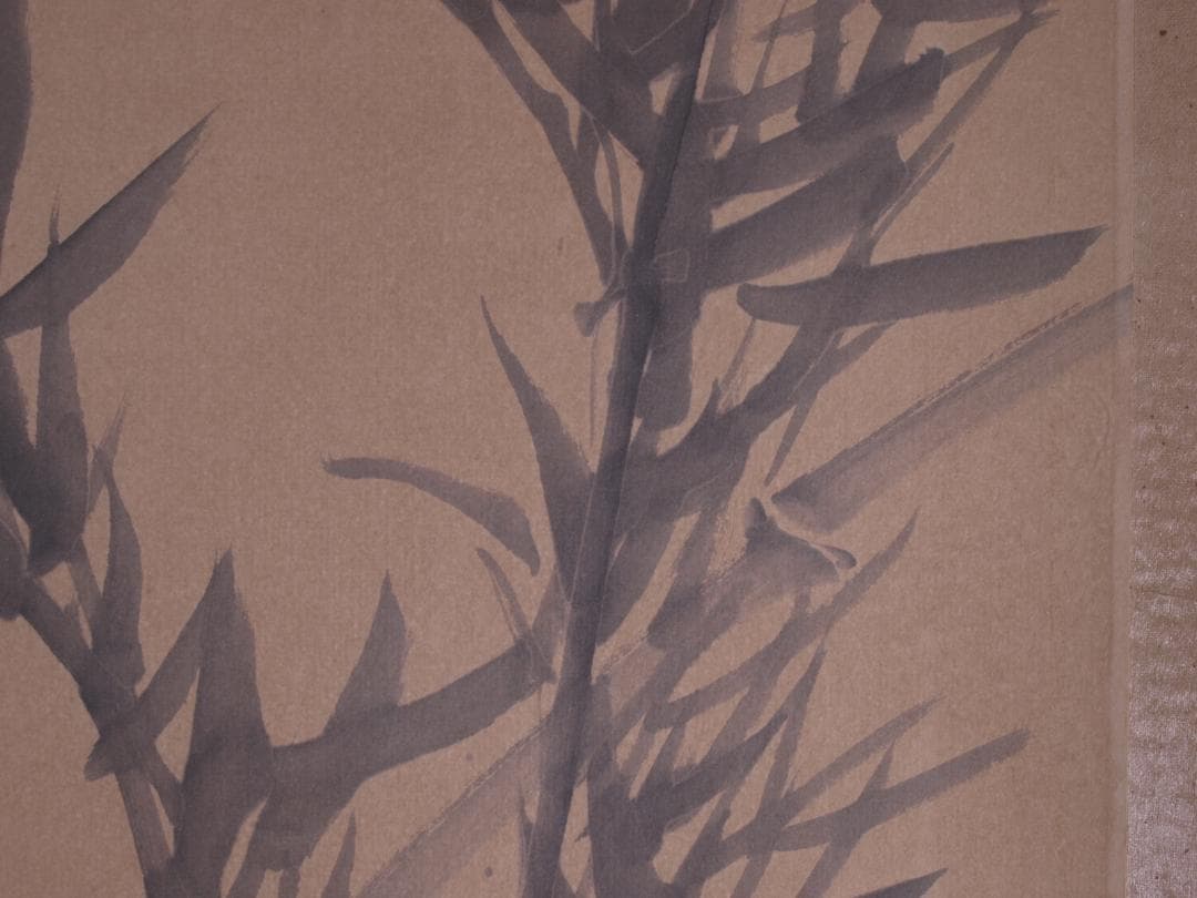 蔵整理品　中国清時代掛け軸　肉筆水彩絵　骨董品I1542A13-1