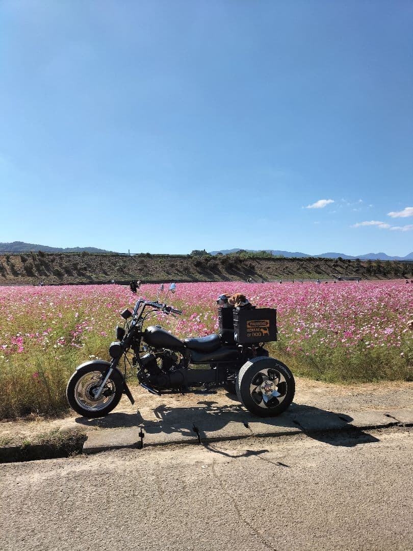 トライク250cc説明読んでください