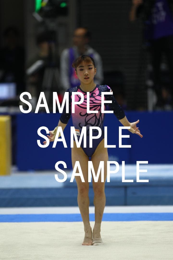 ★9/30終売★寺本明日香 画像集(2015～2019年) 約15,500枚