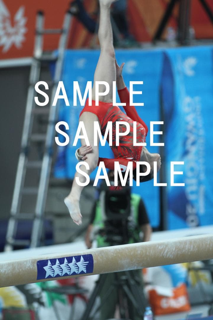 ★9/30終売★寺本明日香 画像集(2015～2019年) 約15,500枚