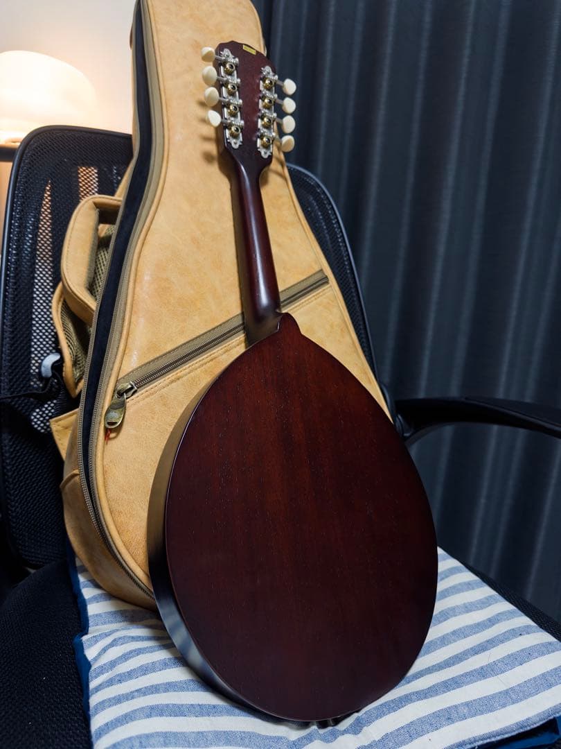 Kentucky Army NavyマンドリンKM120