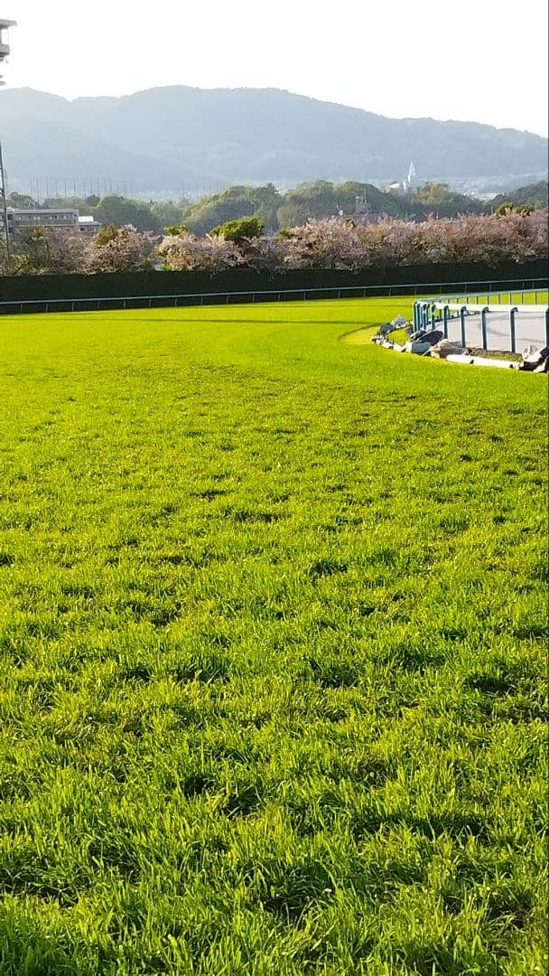 値下げ！新品！JRA競馬ディープ、オグリ、ナリタブライアン、トウカイテイオー名馬