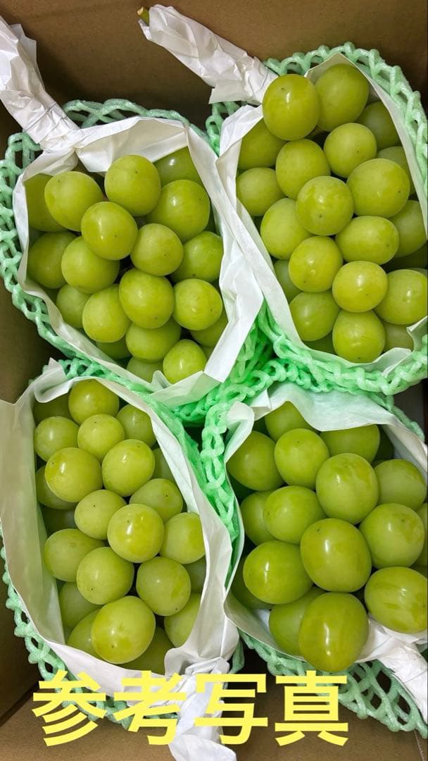 ★sayucyoco★発送日おまかせ