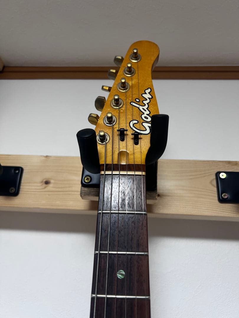Godin エレキギター
