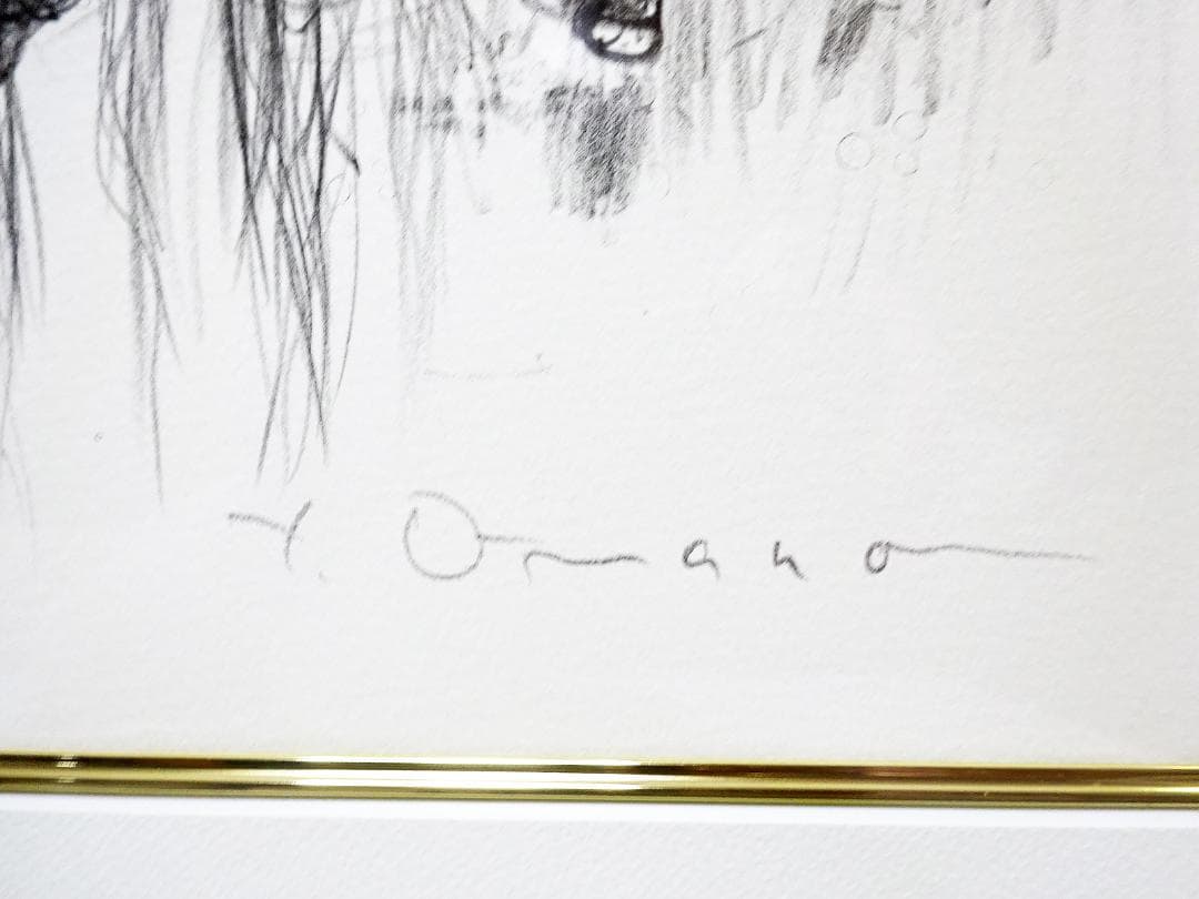 #天野喜孝 #吸血鬼 #版画 #リトグラフ #共箱 #アールビバン保証書