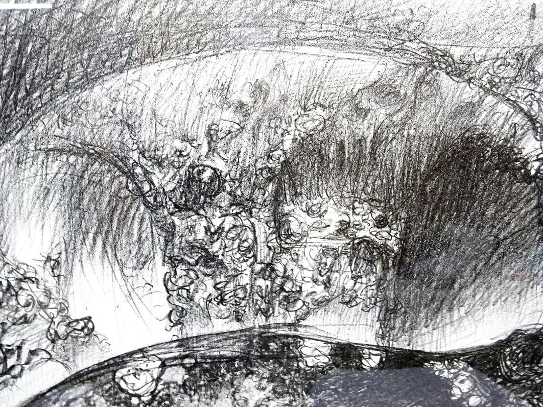 #天野喜孝 #吸血鬼 #版画 #リトグラフ #共箱 #アールビバン保証書