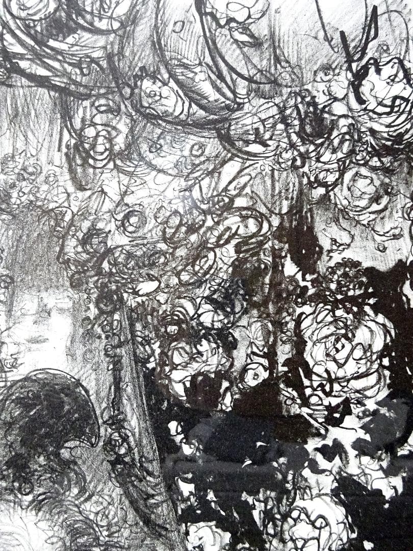 #天野喜孝 #吸血鬼 #版画 #リトグラフ #共箱 #アールビバン保証書