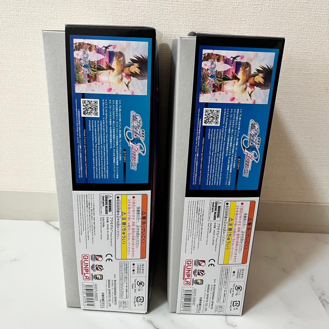 劇場版公開記念パッケージ ＨＧ 1/144 ２点セット