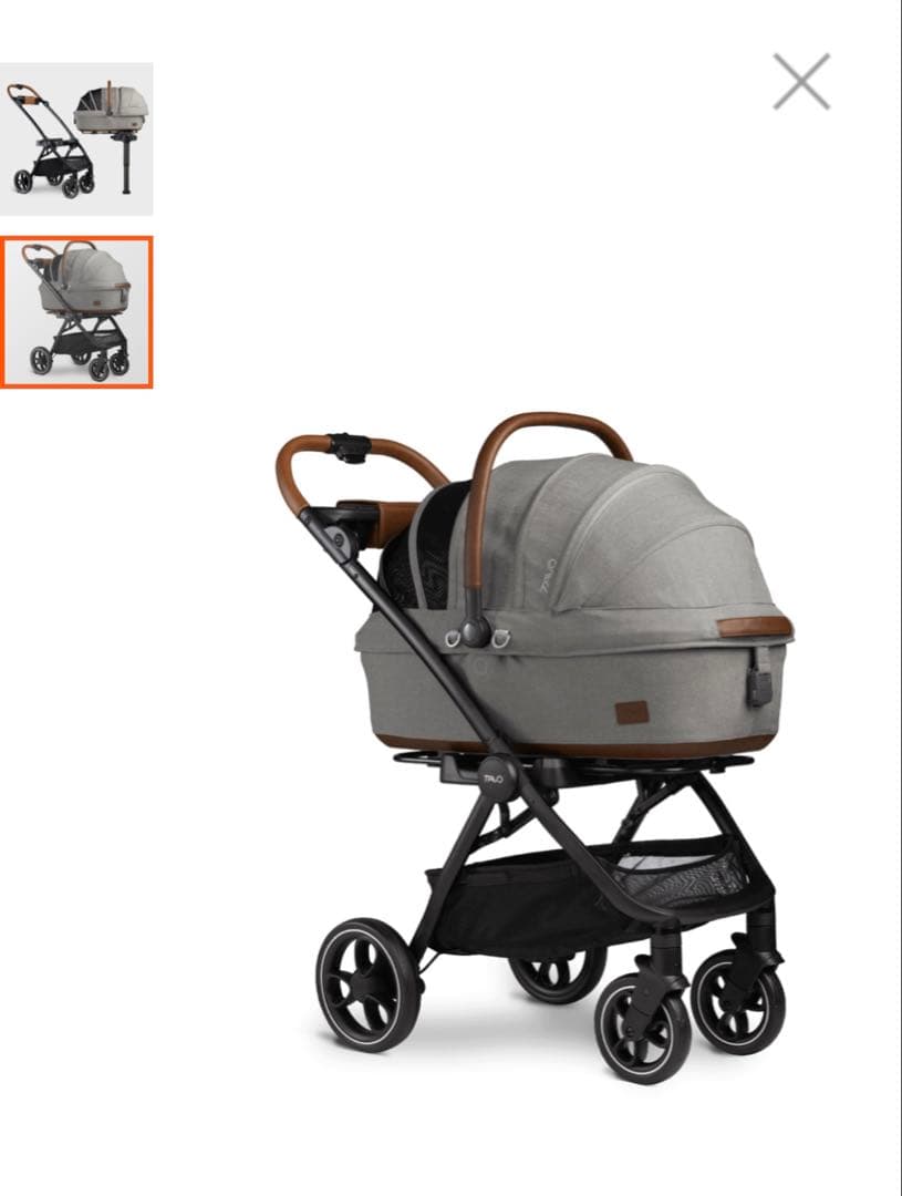 【大谷選手愛用】 TAVO メイブ ロスコー ミディアムリジット デコピンカート