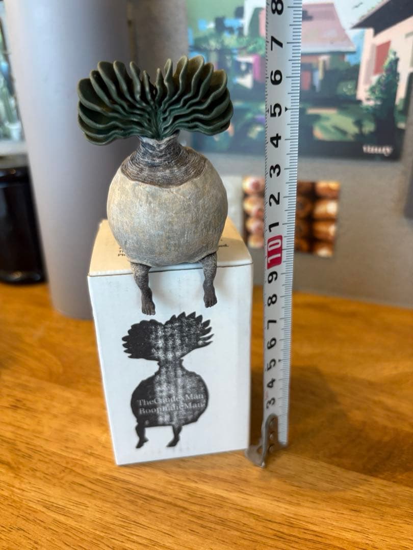 OZWNRT ブーファン　BoophamneMan TheCaudexMan