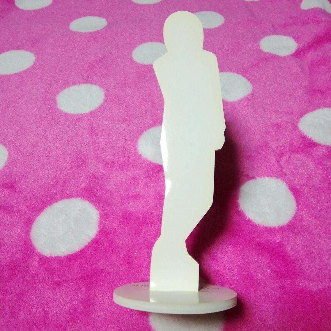 ✳【512】チャングンソク　NATURE REPUBLIC　卓上ミニパネル