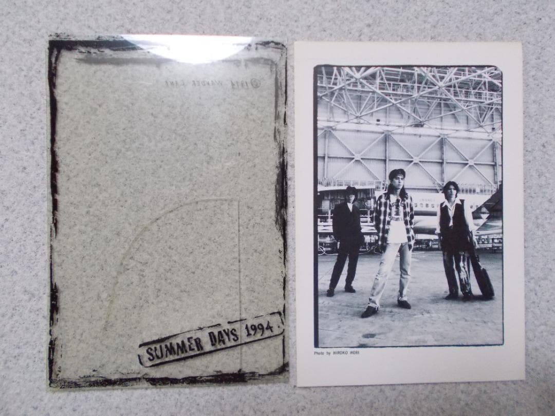 WANDS バインダー　グリーティングカード