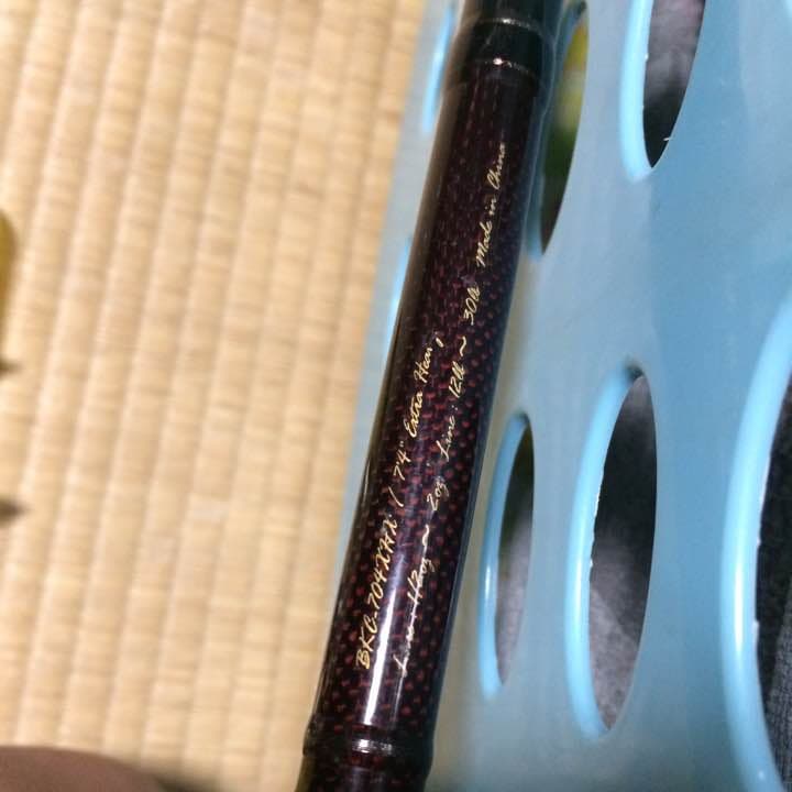 ビックベイトタックルセット ルアーつき