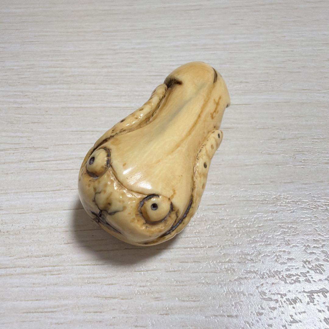 根付 イカ （恐らく） 江戸期 netsuke