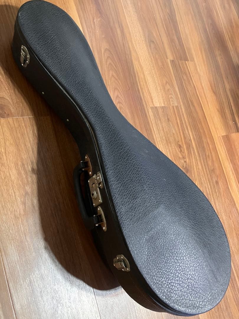 マンドリン　M-210 ハードケース付き　弦楽器　SUZUKI VIOLIN