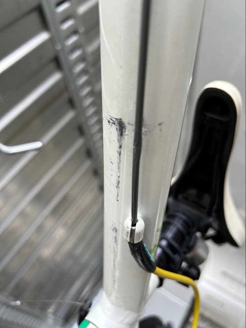 引き取り可能 Bianchi ビアンキ　カメレオンテ