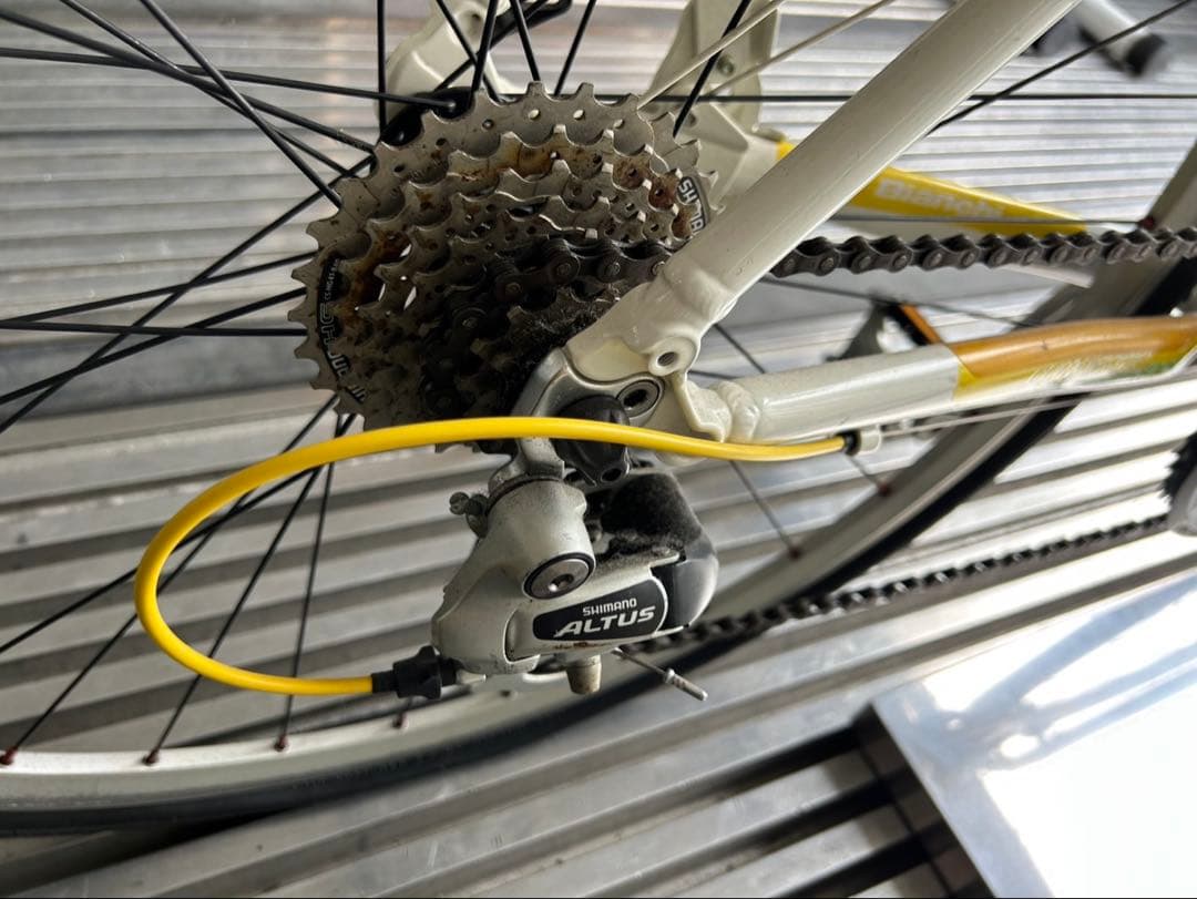 引き取り可能 Bianchi ビアンキ　カメレオンテ