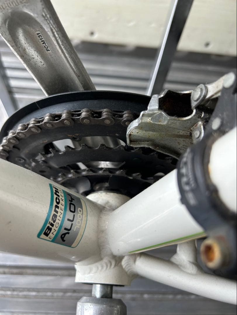 引き取り可能 Bianchi ビアンキ　カメレオンテ