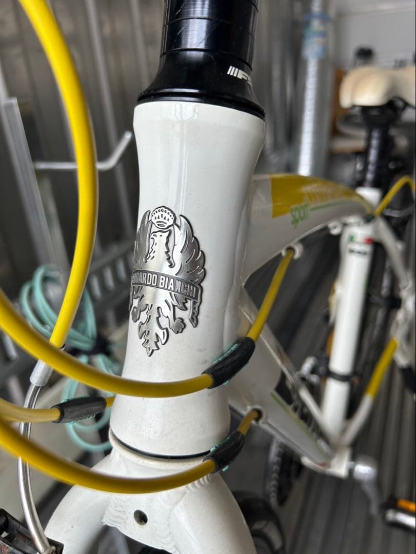 引き取り可能 Bianchi ビアンキ　カメレオンテ