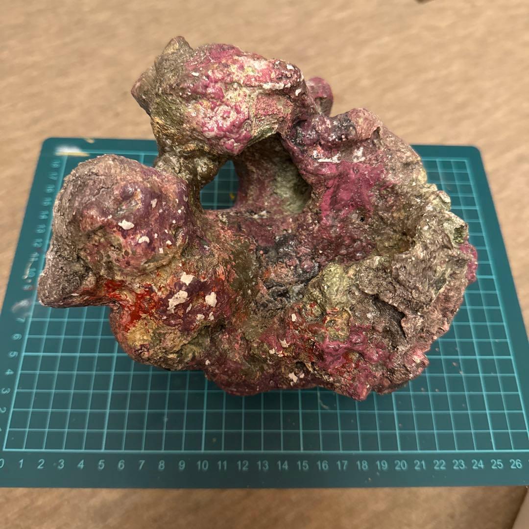 ライブロックレプリカ