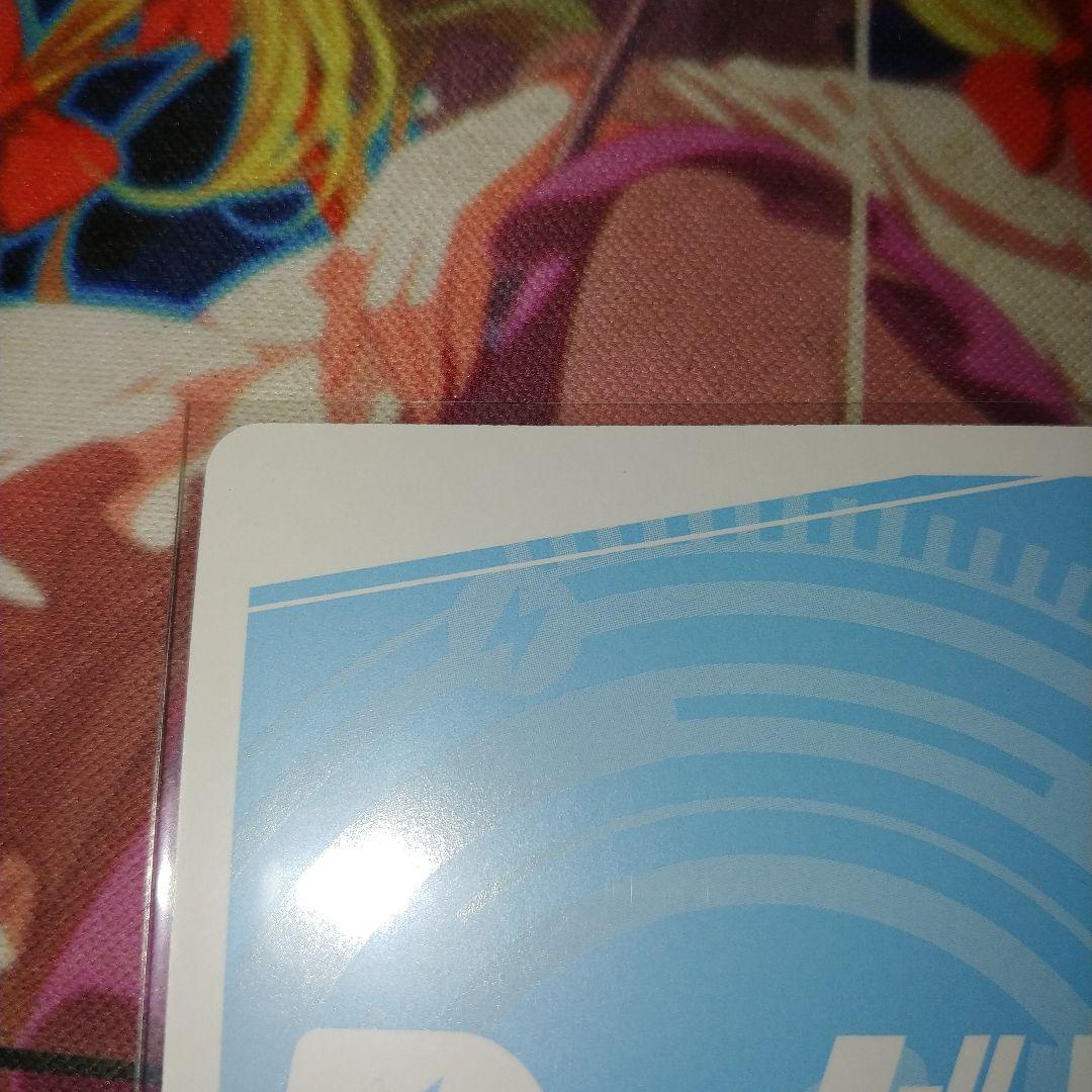 reバース 東方Project　八雲紫　pp