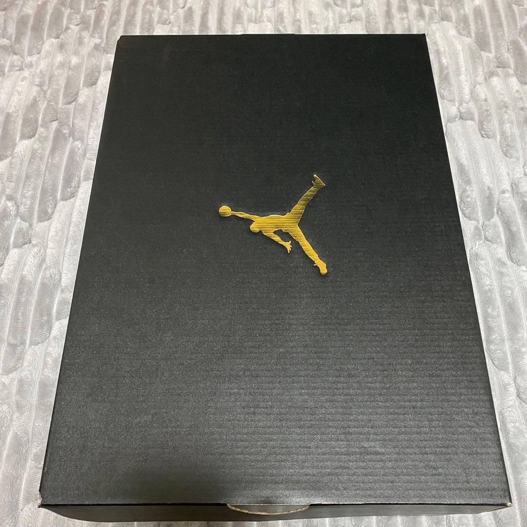 ナイキ ジョーダン NU レトロ 1 G 28.0㎝