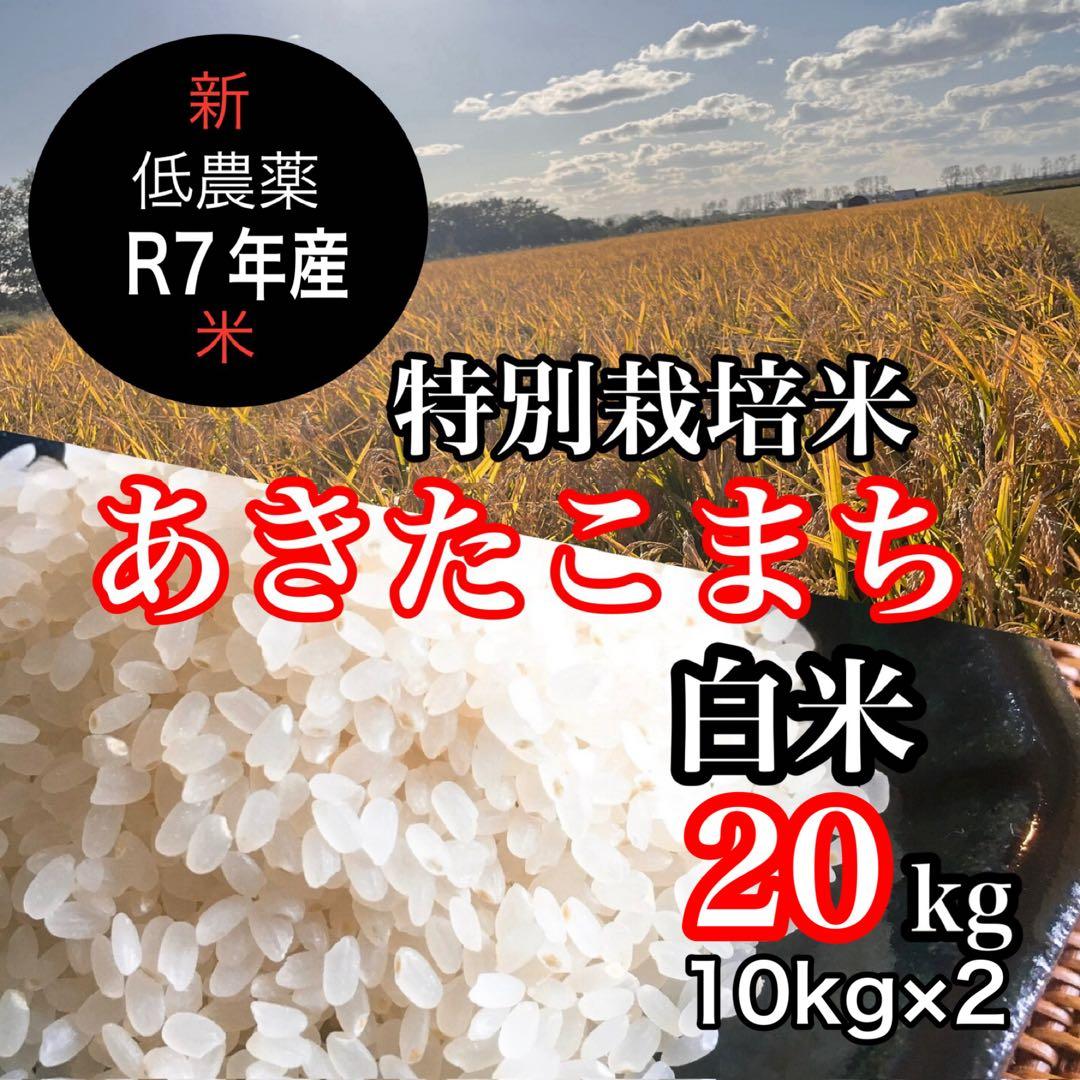 新米R7年産◎低農薬 【特別栽培米】あきたこまち 白米20kg(10kg×2)