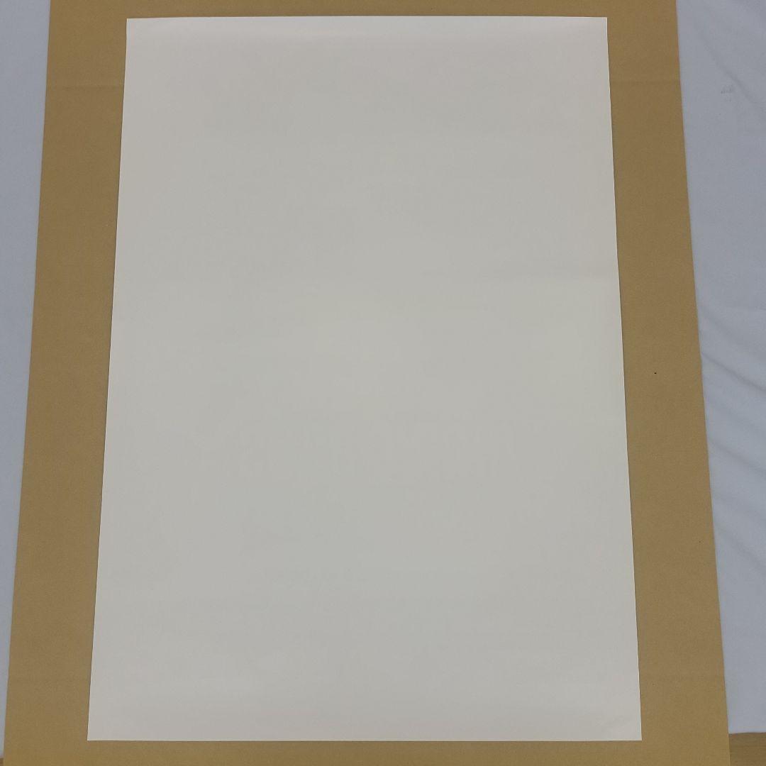 【非売品】任天堂スイッチ　スーパーマリオブラザーズ・ワンダー　ポスター２枚セット