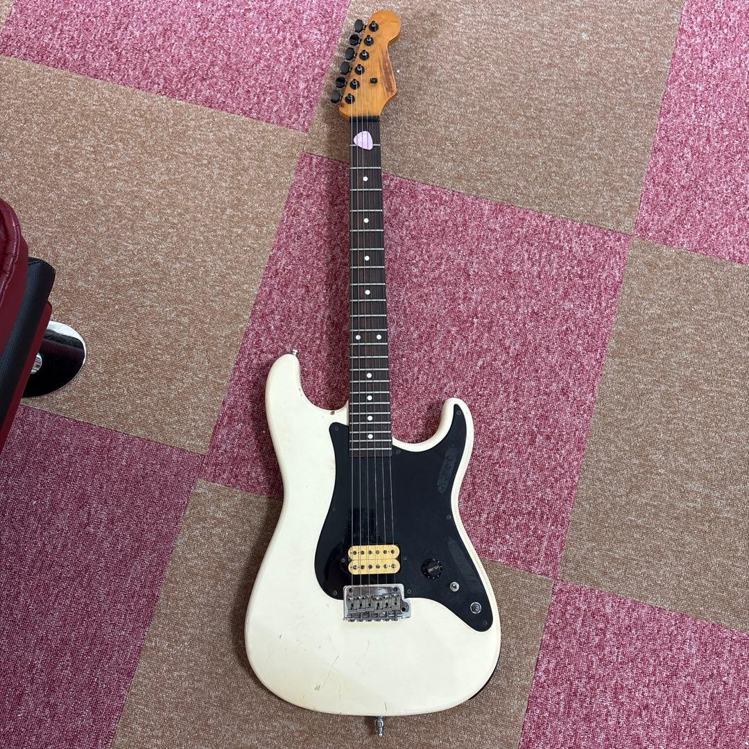 フェルナンデス　アラン・ホールズワース　モデル