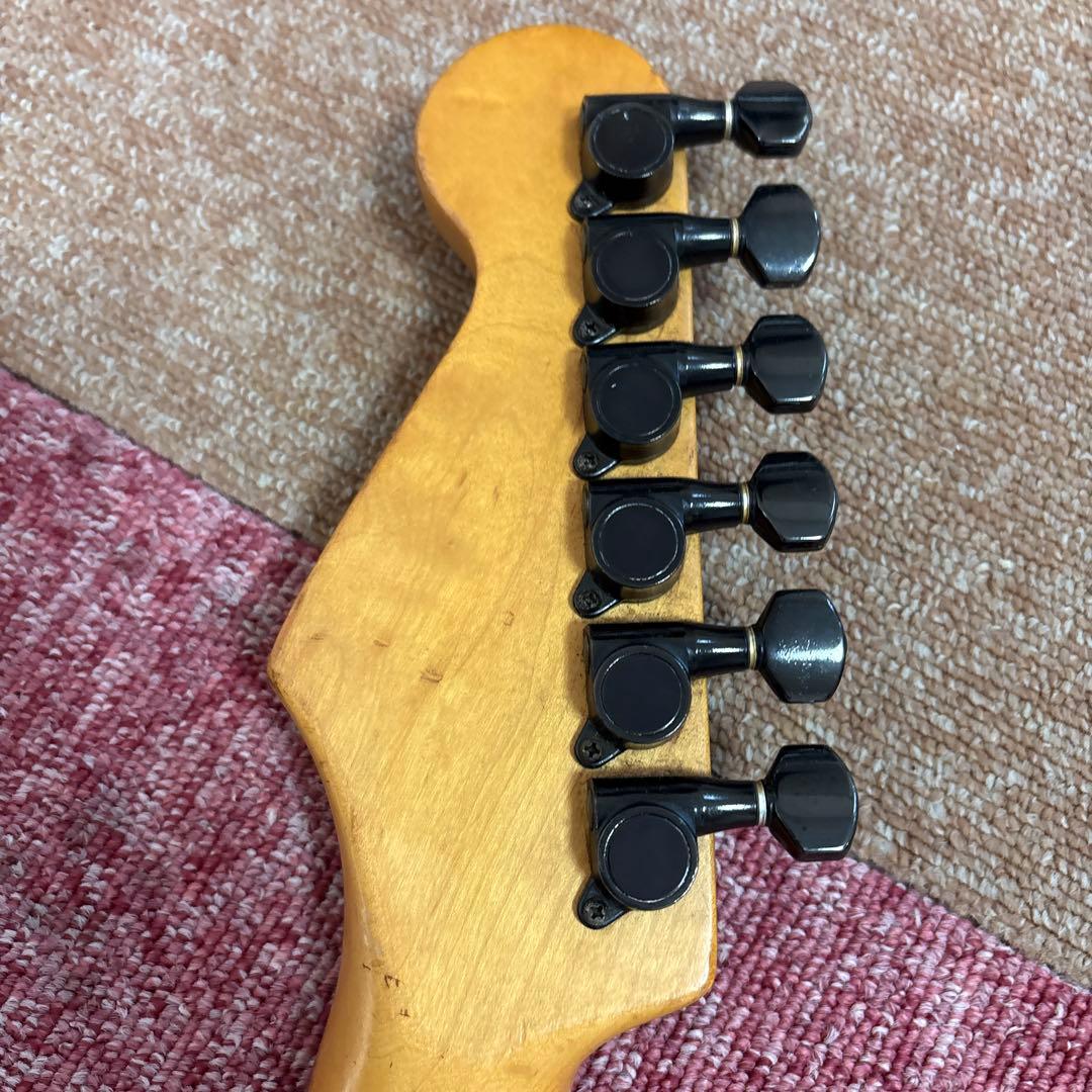 フェルナンデス　アラン・ホールズワース　モデル