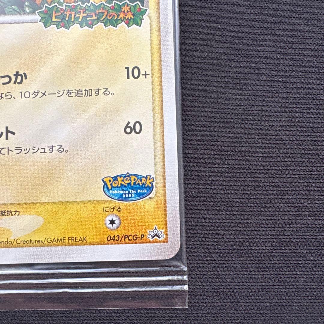 【未開封】ポケパークのピカチュウ プロモ