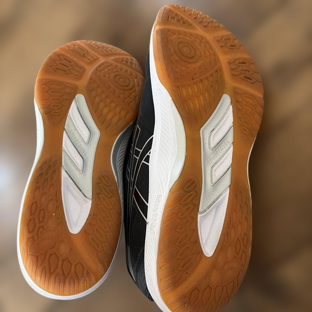 ローテジャパン　バレーボールシューズ 25cm ローテジャパンライト