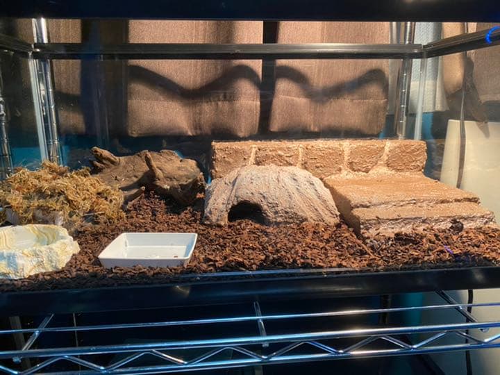 爬虫類シェルター、バックボード作成