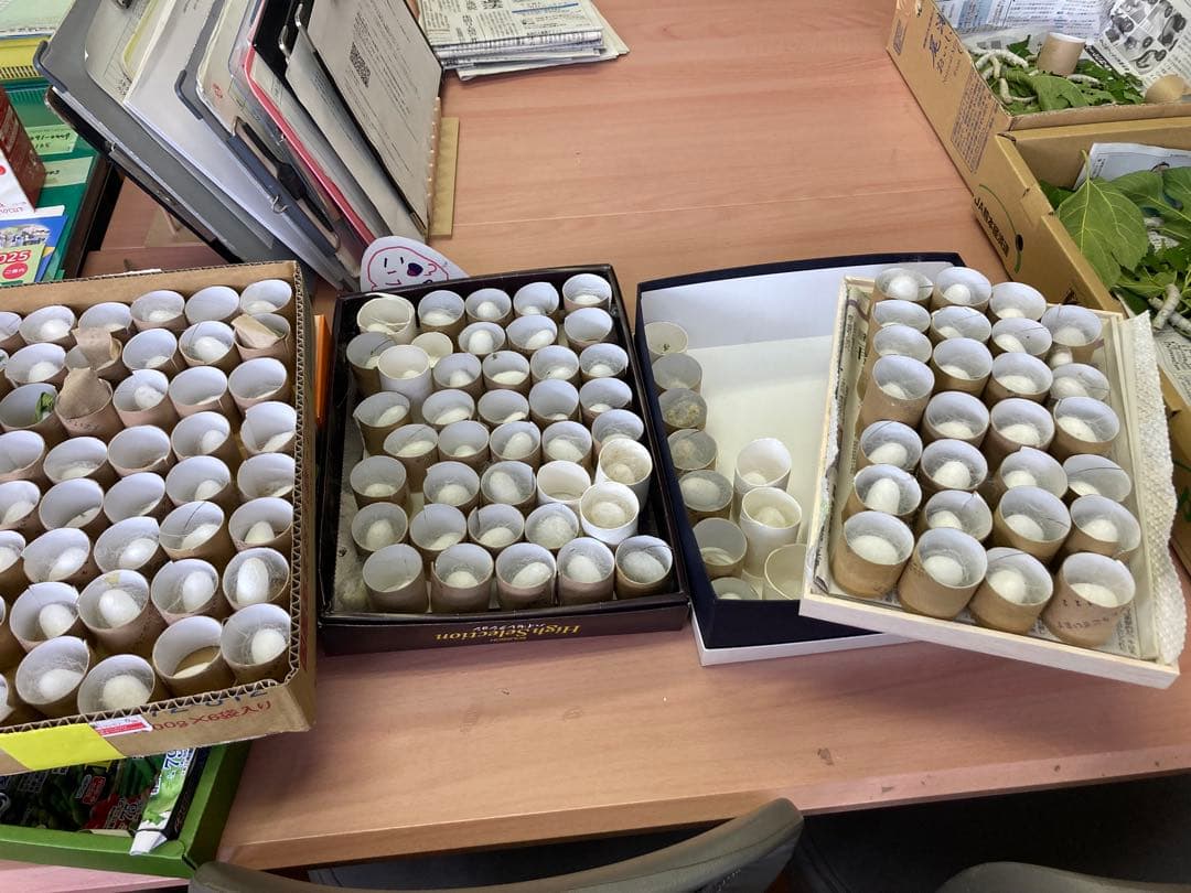 こちら確認用です