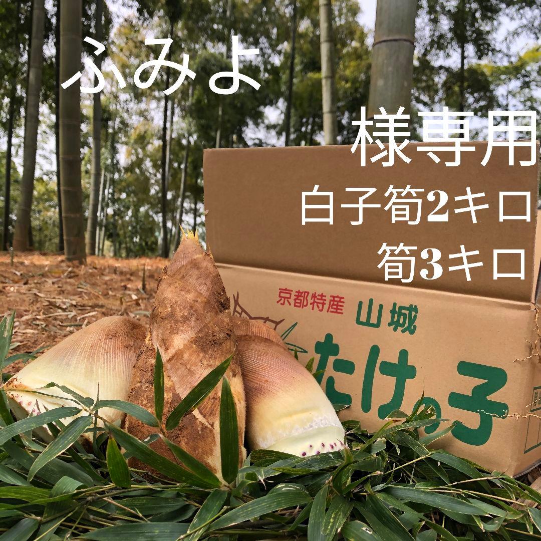 ふみよ 白子筍2キロ筍3キロ箱込み