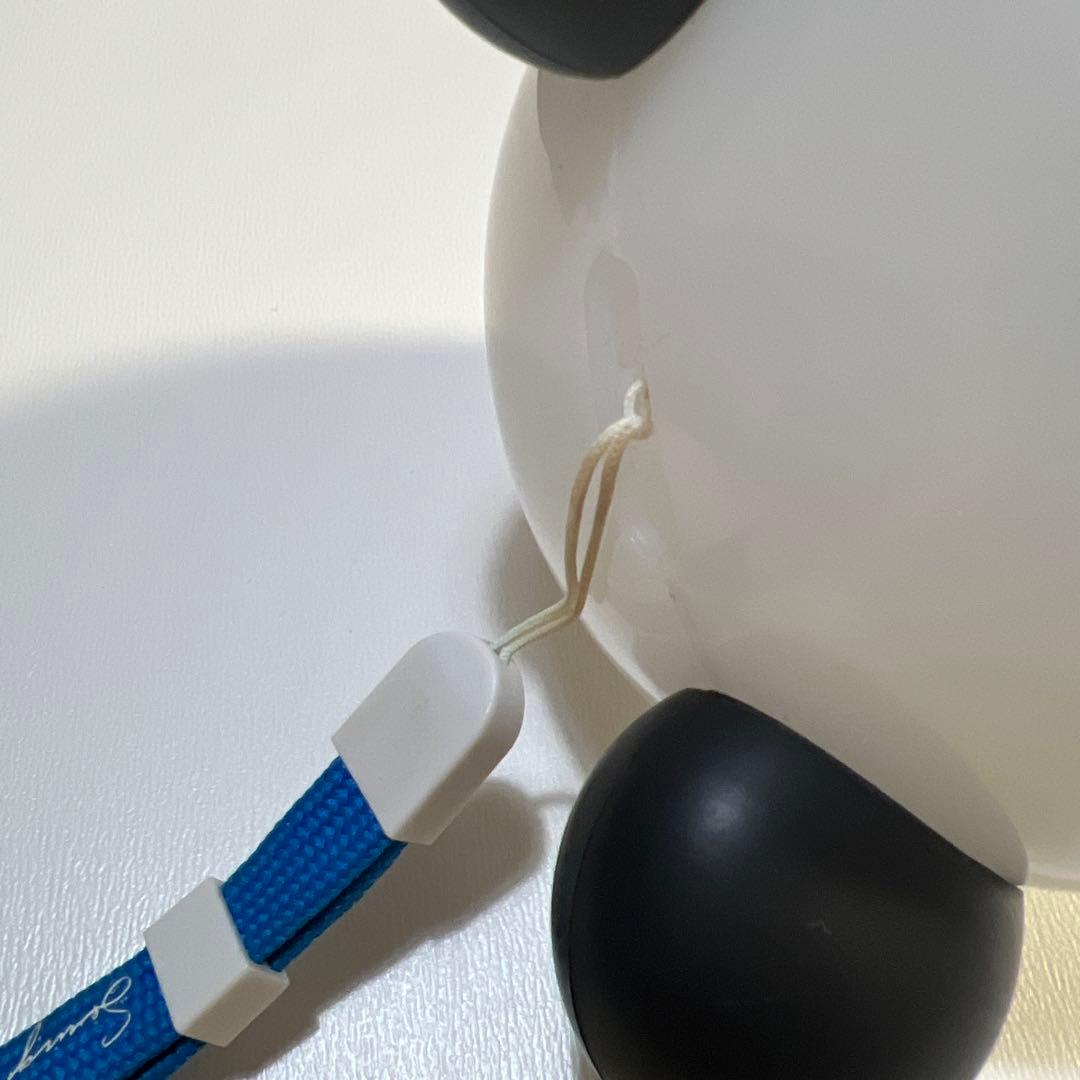 BIGBANG スンリ ペンライト