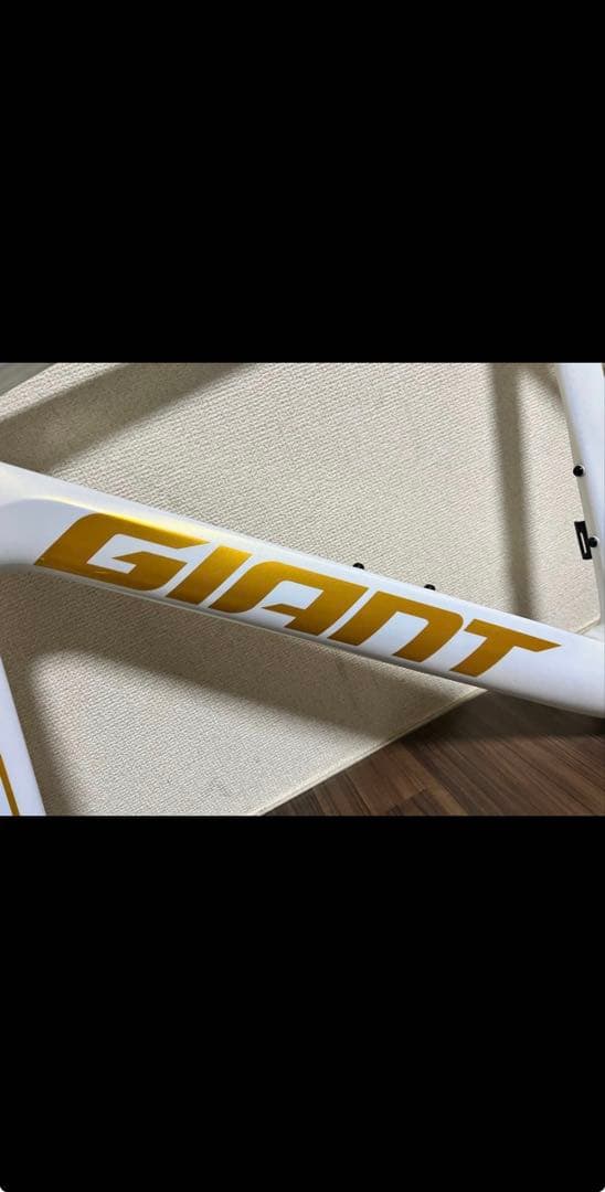 現行型　sサイズ　新品・未組立・未加工　PROPEL ADVANCED SL