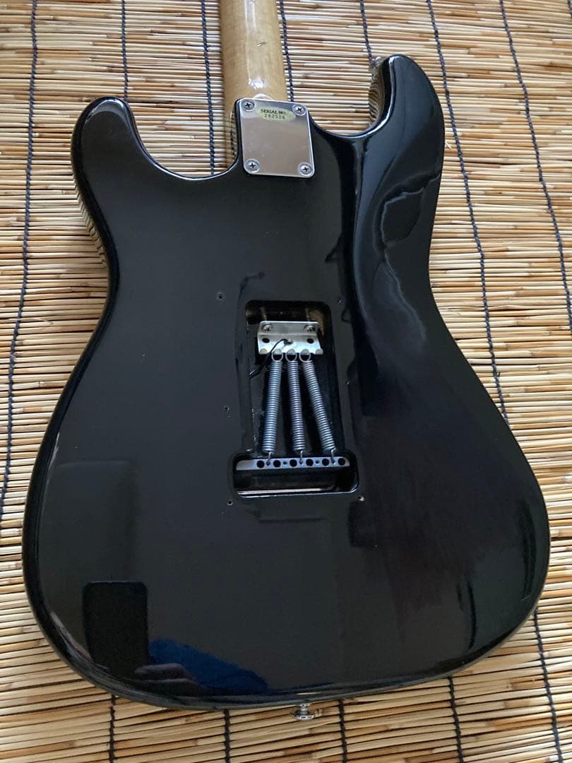 ☆特選　改造を尽くしたBuskers ST SSH